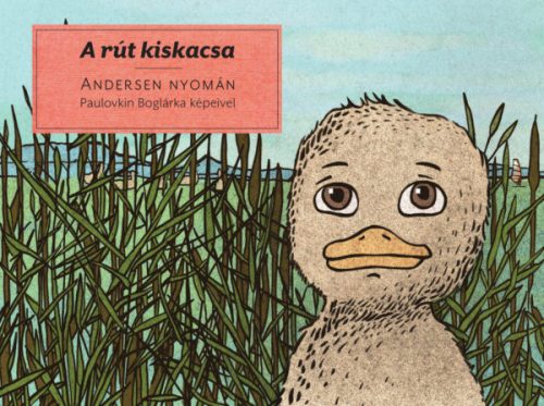 A rút kiskacsa